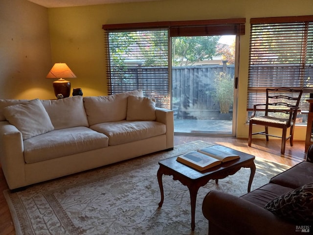 living area with wood finished floors and a wealth of natural light