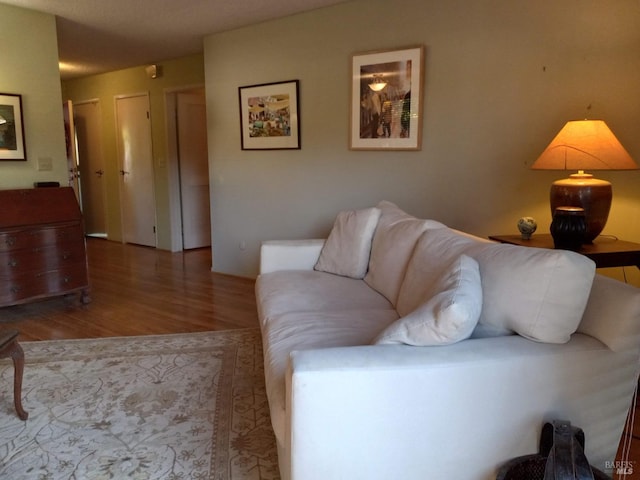 living area with wood finished floors