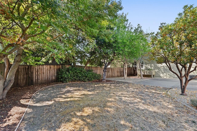 view of yard with a patio area