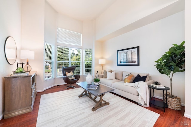 living area featuring baseboards, wood finished floors, and a towering ceiling