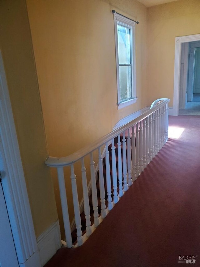 staircase featuring carpet