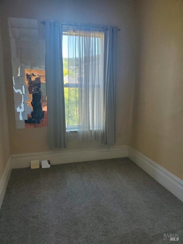 spare room featuring carpet floors