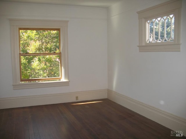 unfurnished room with dark wood-type flooring