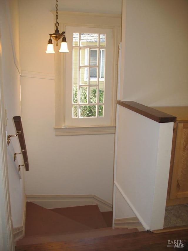 stairs featuring a notable chandelier and hardwood / wood-style floors