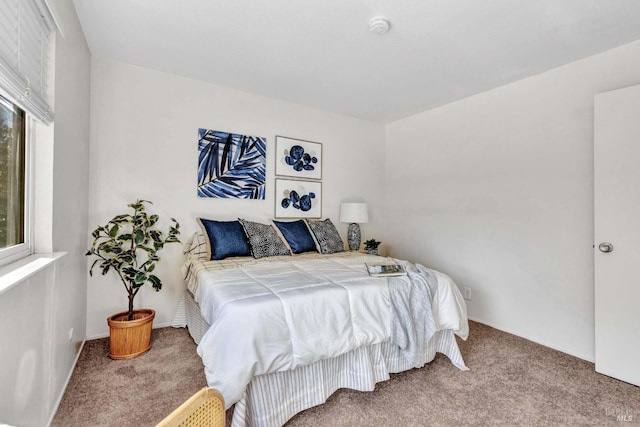 bedroom with carpet flooring