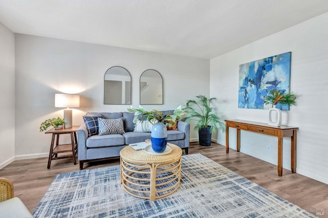 living room featuring hardwood / wood-style flooring