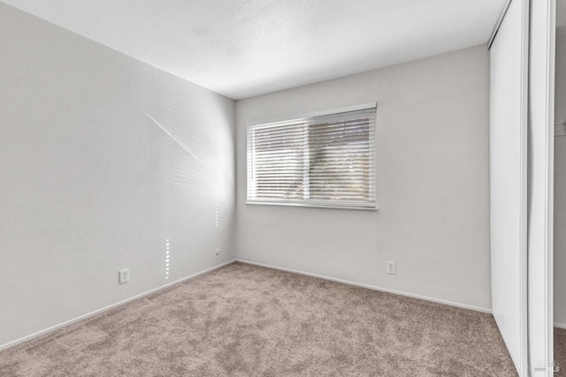 empty room with carpet floors and a textured ceiling