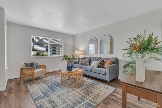 living room featuring a textured ceiling, wood finished floors, baseboards, and plenty of natural light
