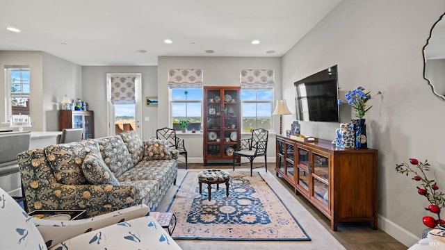 living room featuring plenty of natural light