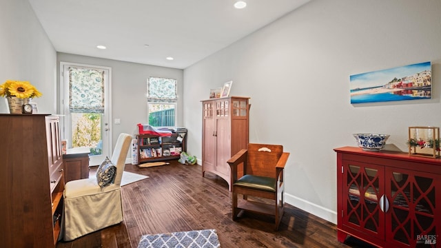 living area featuring dark hardwood / wood-style flooring