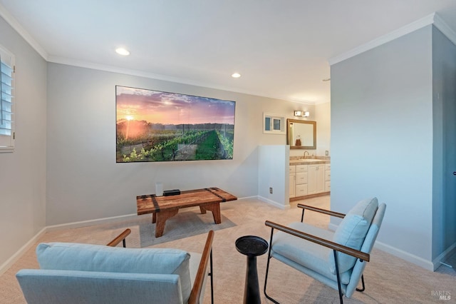 interior space with light colored carpet, crown molding, and sink