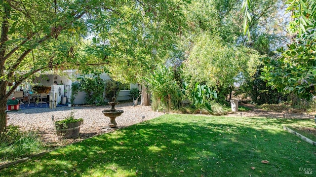 view of yard featuring a patio area