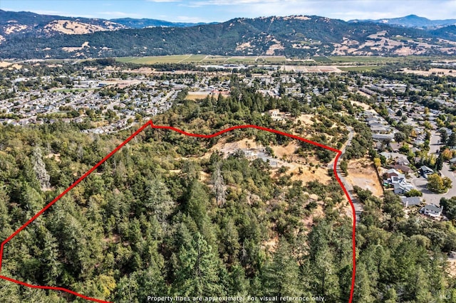 birds eye view of property with a mountain view