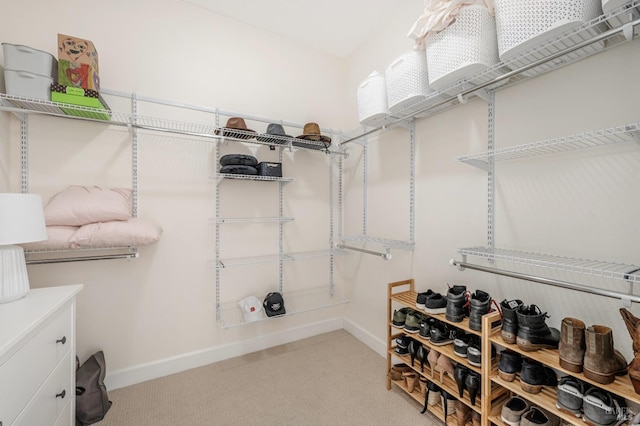 spacious closet with light colored carpet