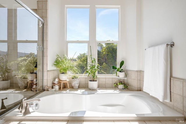 bathroom with plenty of natural light and shower with separate bathtub