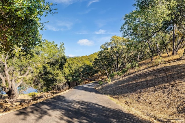 view of road