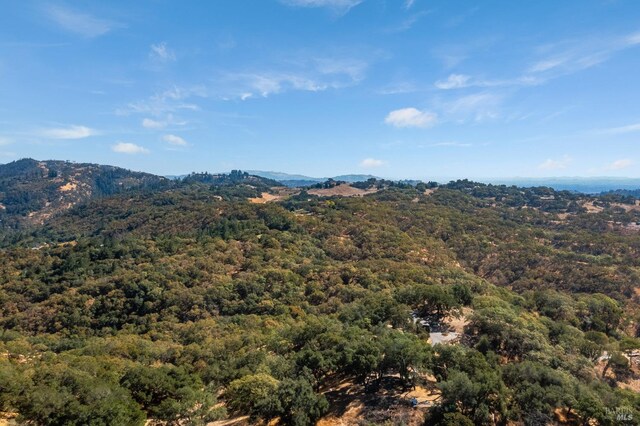 mountain view with a forest view