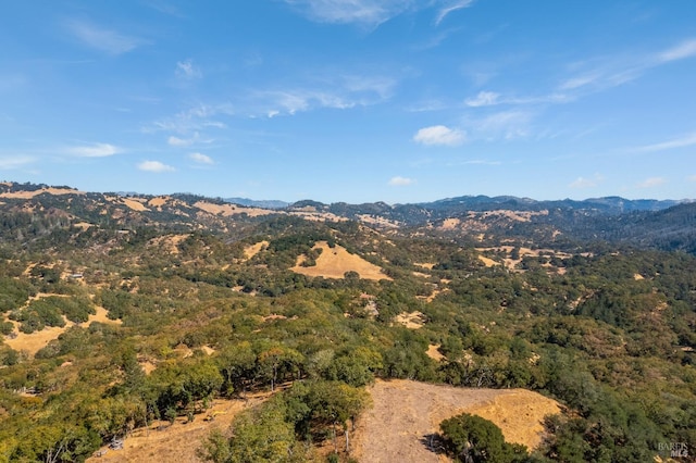 mountain view featuring a forest view