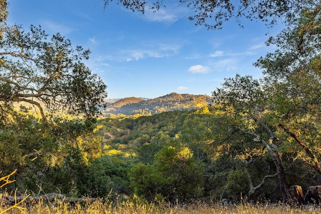 mountain view featuring a wooded view