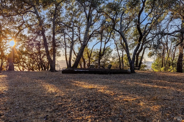 view of yard at dusk