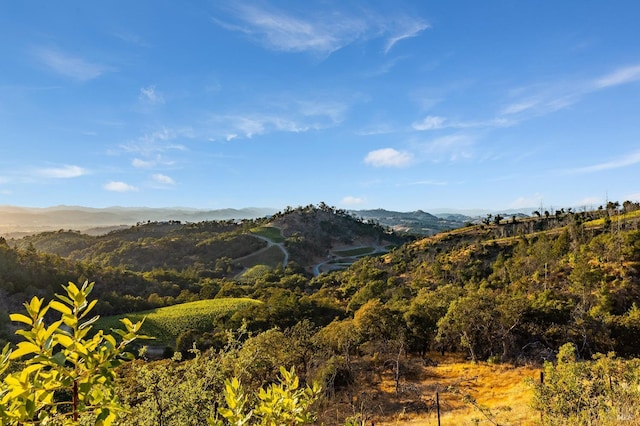 mountain view featuring a wooded view