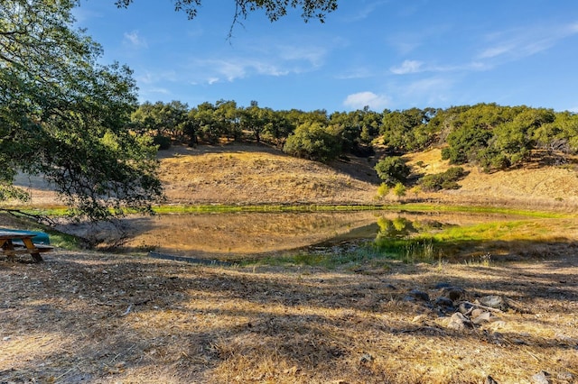 view of landscape featuring a water view