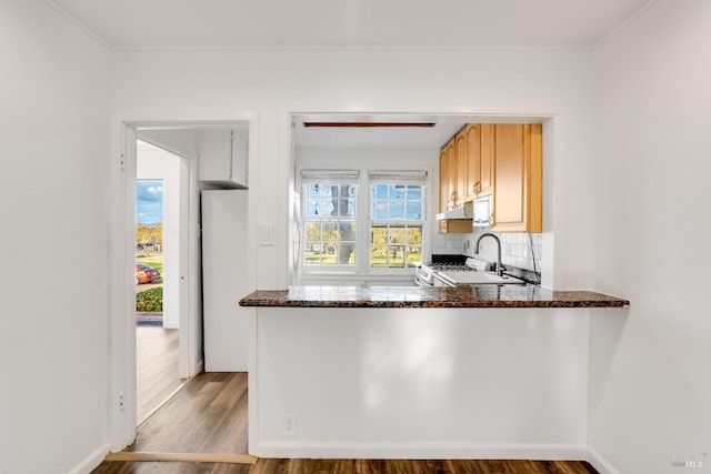 kitchen featuring light hardwood / wood-style flooring, a healthy amount of sunlight, sink, and white stove