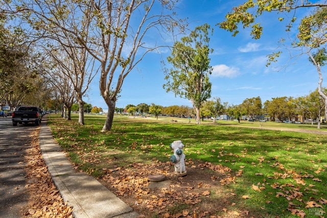 view of property's community with a yard