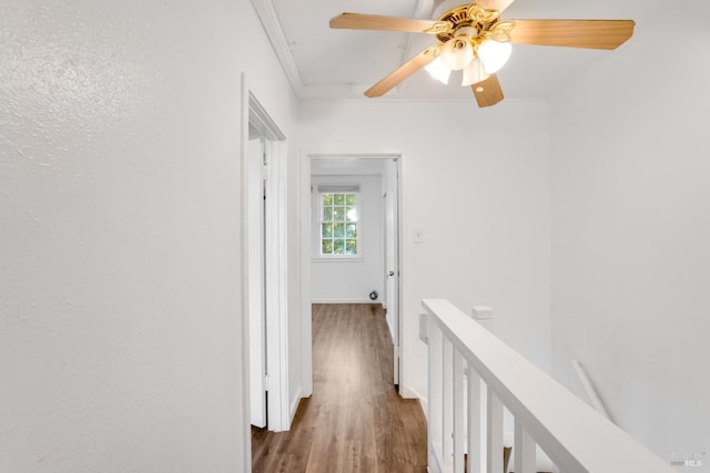 corridor with wood-type flooring and crown molding