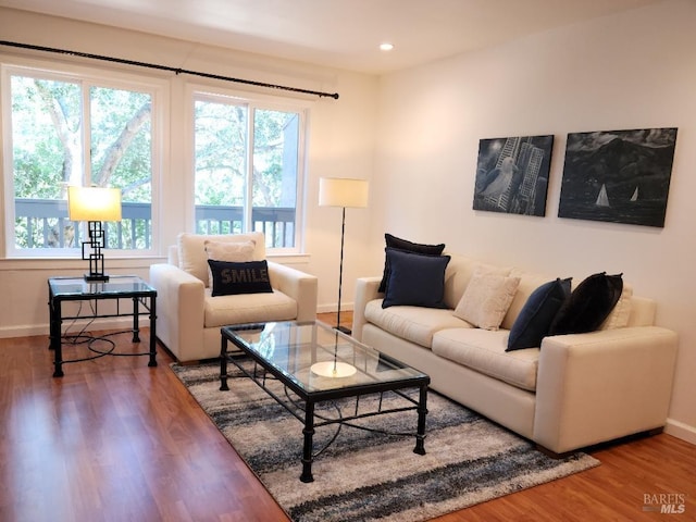 living room featuring hardwood / wood-style flooring