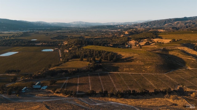 bird's eye view with a mountain view and a rural view