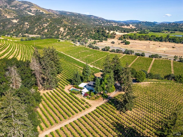 birds eye view of property with a mountain view and a rural view