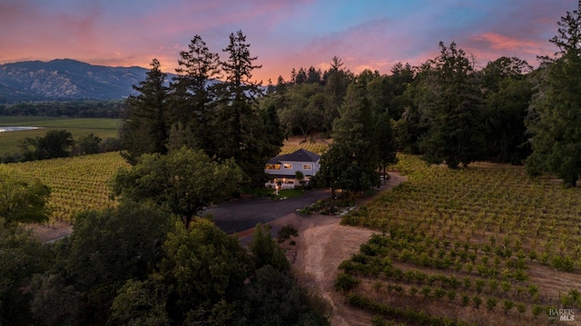 aerial view at dusk with a mountain view and a rural view