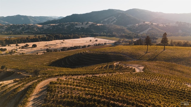 property view of mountains with a rural view