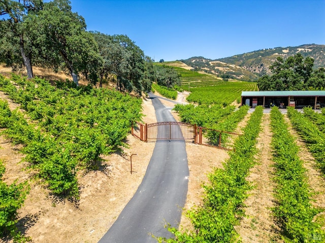 view of road with a rural view and a mountain view