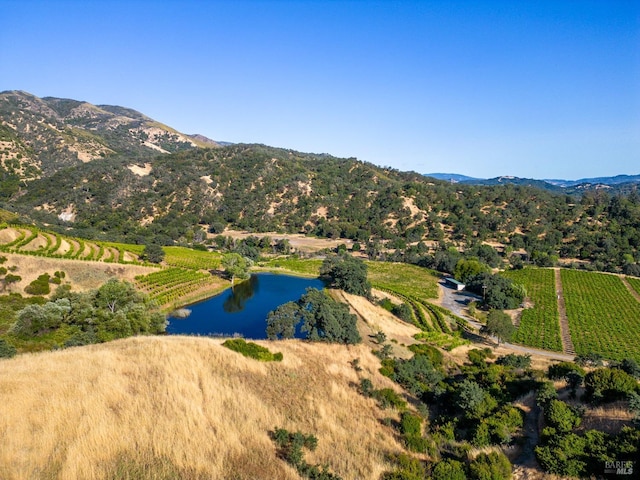 drone / aerial view with a rural view and a water and mountain view