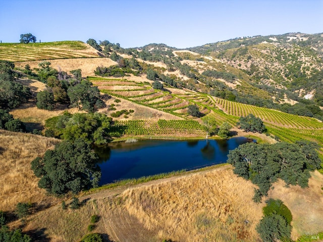 birds eye view of property featuring a water and mountain view and a rural view