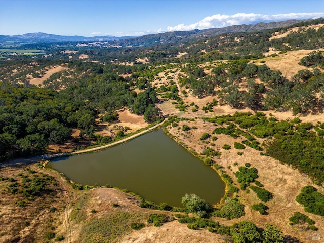 birds eye view of property with a water and mountain view