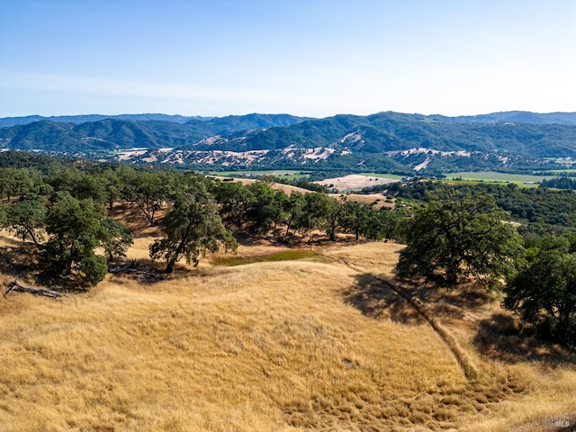 view of mountain feature