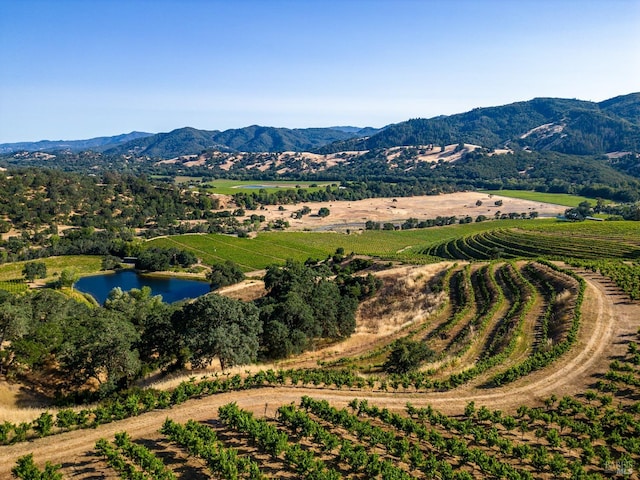 view of mountain feature with a water view and a rural view