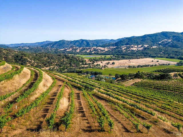 mountain view featuring a rural view