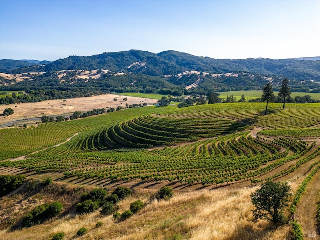 view of mountain feature featuring a rural view