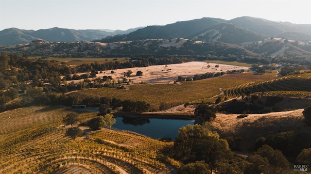 view of mountain feature featuring a rural view and a water view