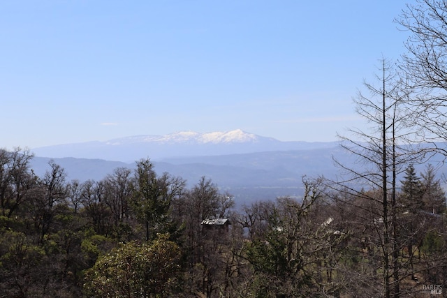 view of mountain feature