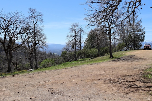 view of local wilderness