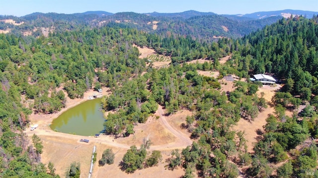 drone / aerial view with a water and mountain view