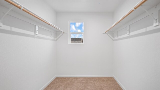 spacious closet featuring carpet flooring