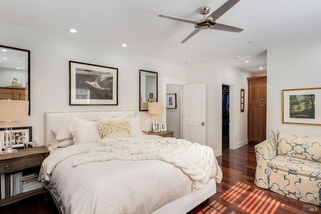 bedroom featuring ceiling fan, a closet, dark hardwood / wood-style flooring, and a walk in closet