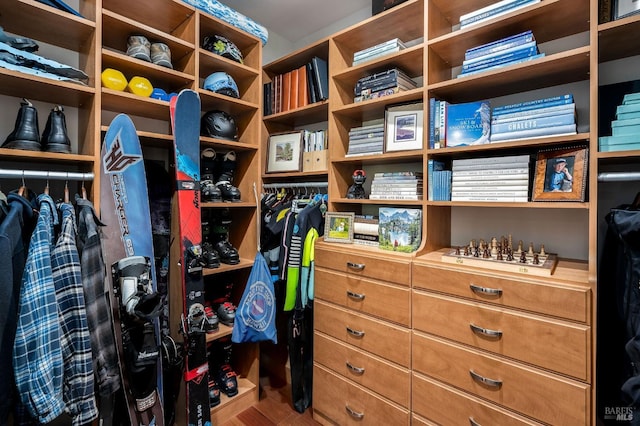 spacious closet featuring hardwood / wood-style flooring