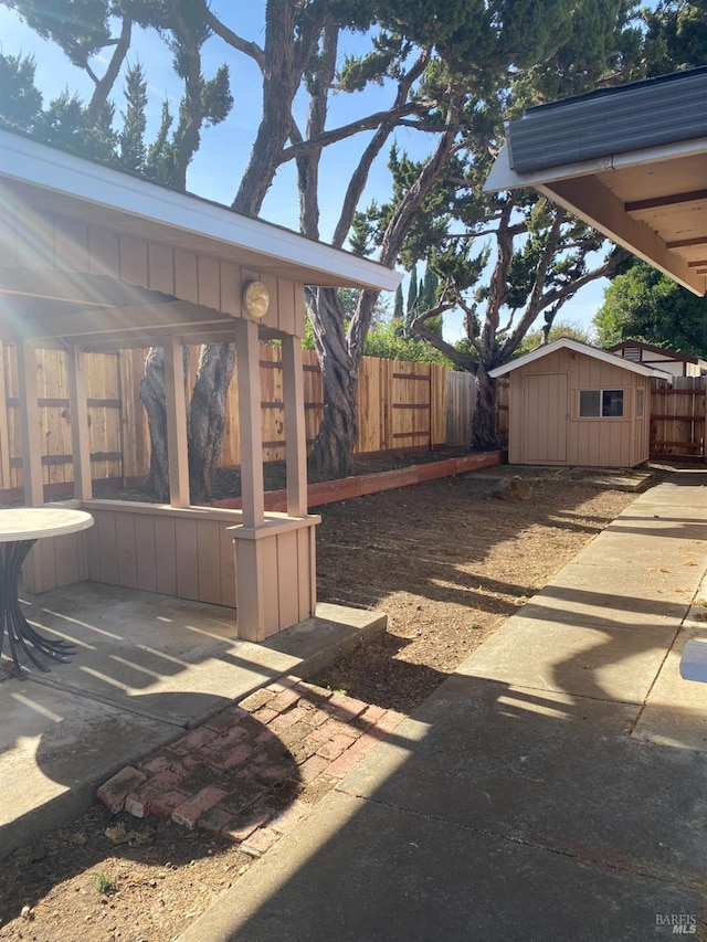 view of yard featuring a patio area and a shed